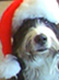 Avatar von cHiLi