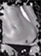 Avatar von Taliwali