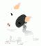 Avatar von El tono