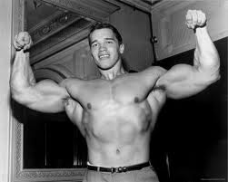 Schwarzenegger Trainingsplan